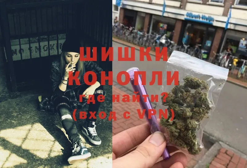 Бошки Шишки White Widow  наркотики  Балей 